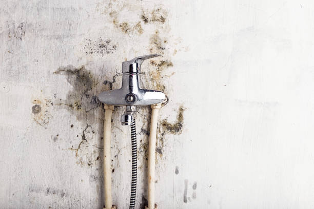 Best Kitchen Mold Remediation in Hanover, OH