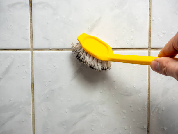 Professional Mold Remediation in Hanover, OH