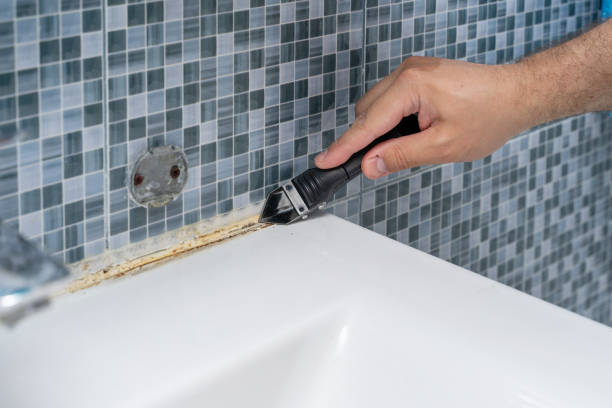 Best Insurance-Related Mold Remediation in Hanover, OH